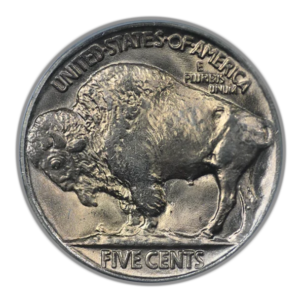 1925 Buffalo Nickel 5C PCGS MS66 - Image 4