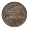 1857 Flying Eagle Cent 1C NGC MS63 CAC - Image 3