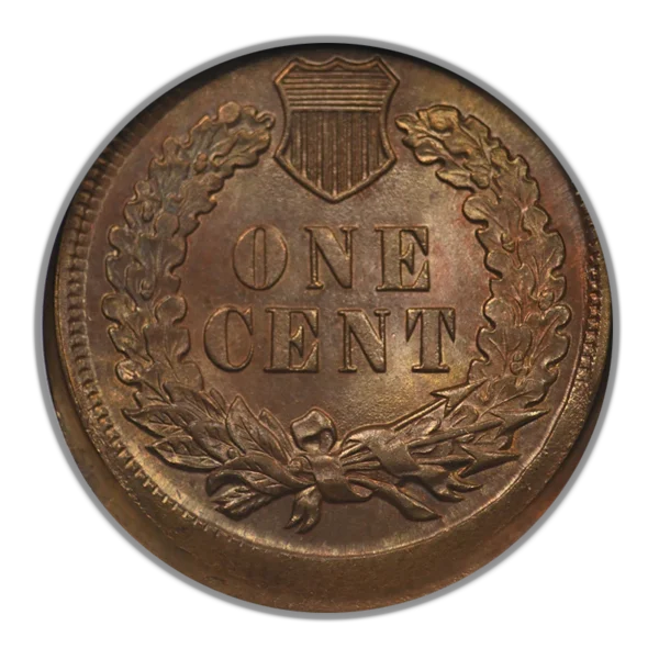 1903 Bronze Indian Head Cent 1C ANACS Soapbox MS63RB Broadstruck Error - NICE COLOR! - Image 4
