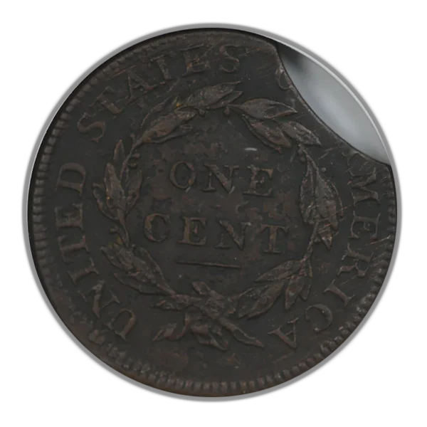 1812 Classic Head Large Cent 1C ANACS Soapbox VF Details S-288 Clip Mint Error - Image 4
