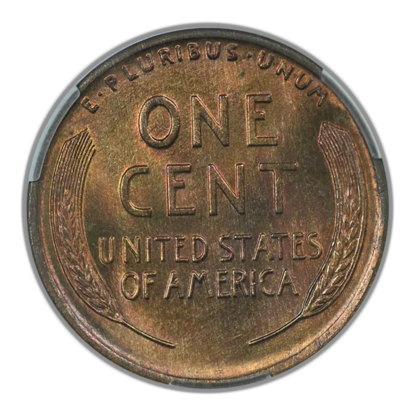 1925 Lincoln Wheat Cent 1C CAC MS66RB - Image 4