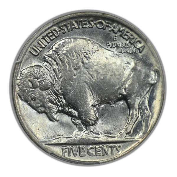 1919 Buffalo Nickel 5C PCGS MS65 - Image 4