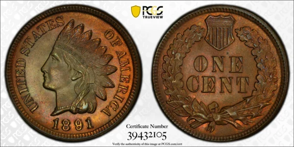 1891 Indian Head Cent 1C PCGS MS65RB - TONED! - Image 2
