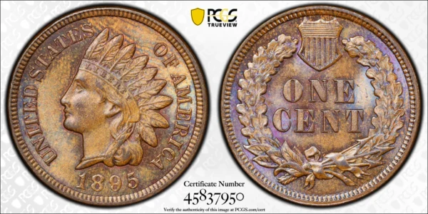1895 Bronze Indian Head Cent 1C PCGS MS63BN - TONED! - Image 3