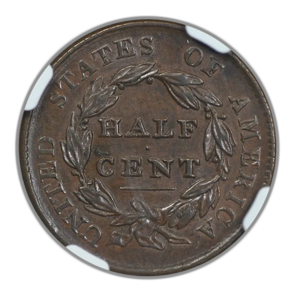 1828 Classic Head Half Cent 1/2C NGC AU55BN - Image 4