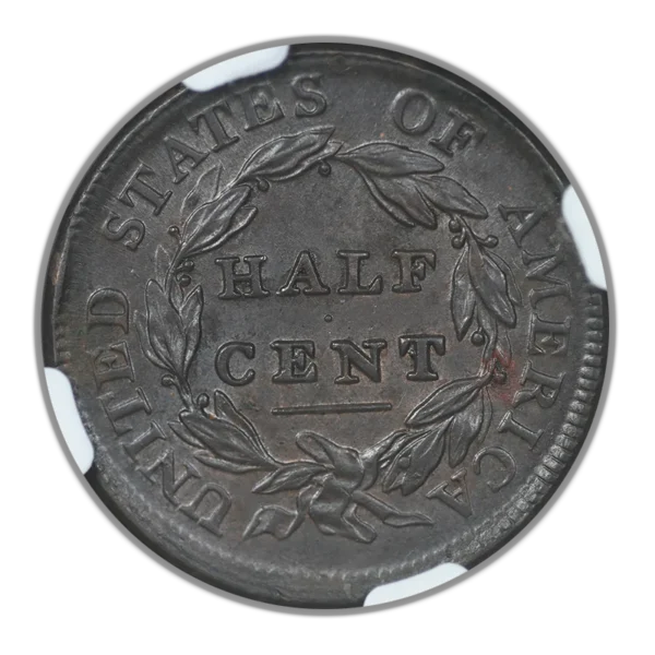 1809 Classic Head Half Cent 1/2C NGC MS64BN - Image 4