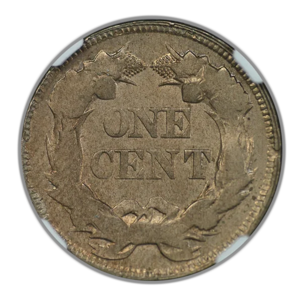 1857 Flying Eagle Cent 1C NGC Mint Error Obverse/Reverse Struck Thru - Image 4