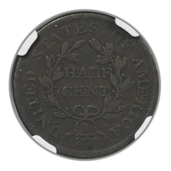 1804 Draped Bust Half Cent 1/2C NGC F12BN - Plain 4, No Stems - Image 4