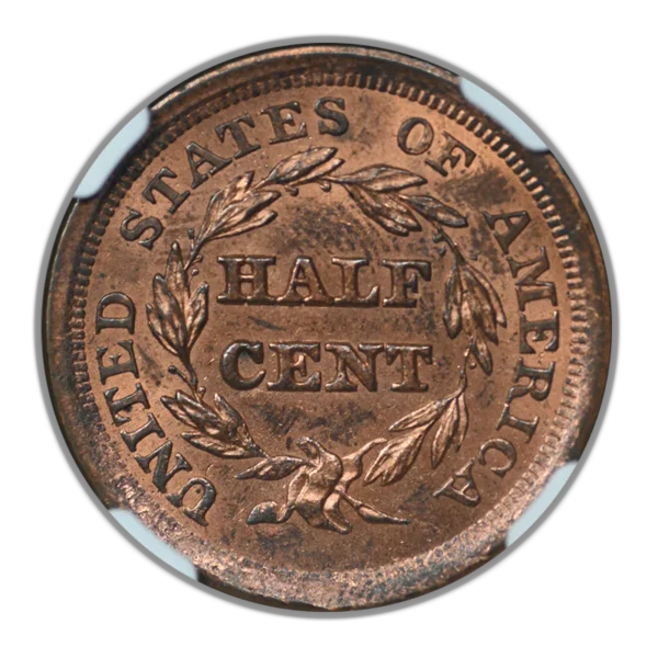 1856 Braided Hair Half Cent 1/2C NGC MS62BN C-1 - Image 4