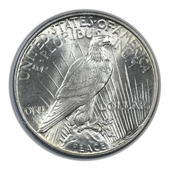 1934 Peace Dollar $1 PCGS Rattler MS63 CAC - Image 4