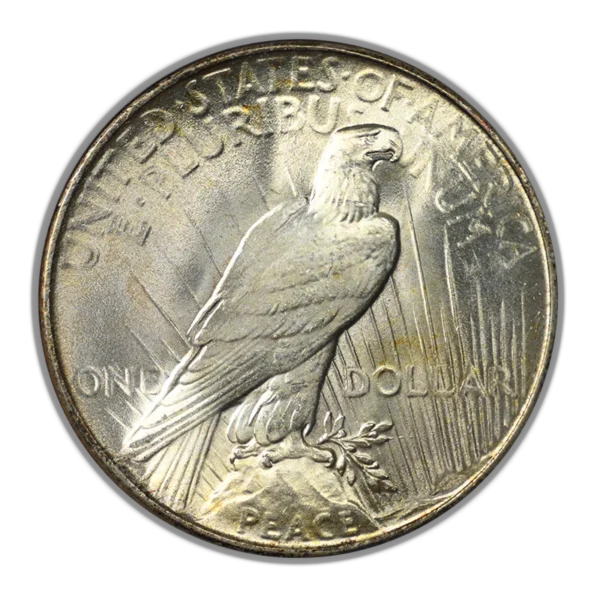 1935 Peace Dollar $1 ANACS MS64 - Image 4