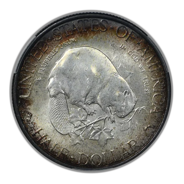 1936 Albany Classic Commemorative Half Dollar 50C CAC MS66 - Image 4