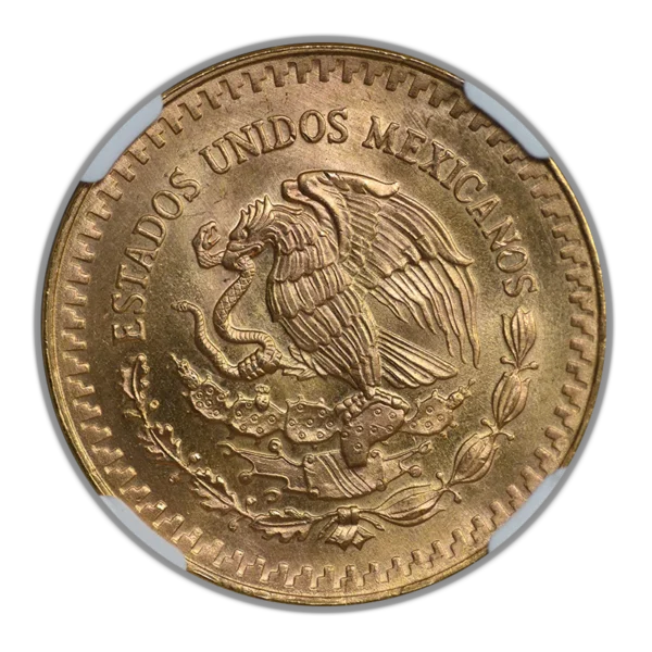 1981 Mo Mexico Gold 1/2 Onza NGC MS68 - Image 4