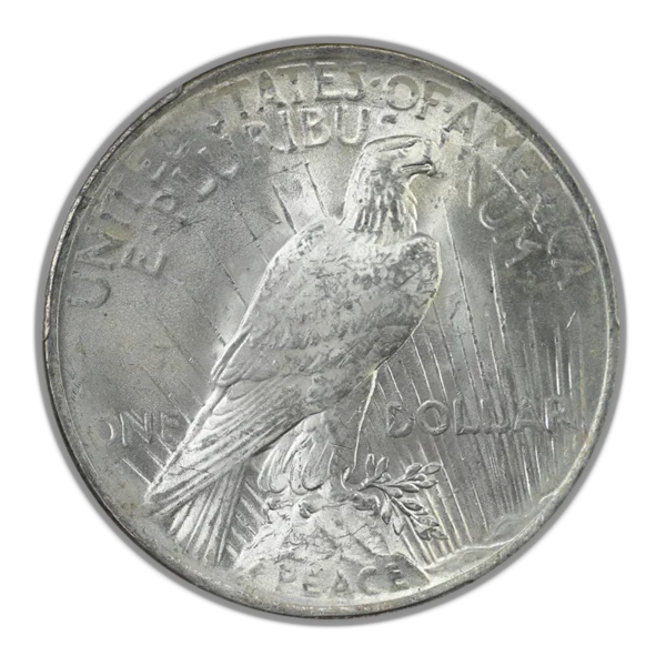 1923 Peace Dollar $1 PCGS MS64+ - Image 4