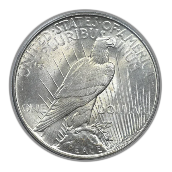1934 Peace Dollar $1 PCGS MS64 CAC OGH - Image 4